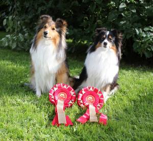 1052750_10151714149318256_1557436593_o